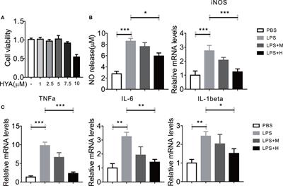 Hydroxysafflor Yellow A Exerts Anti-Inflammatory Effects Mediated by SIRT1 in Lipopolysaccharide-Induced Microglia Activation